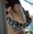 DSC_1343.JPG