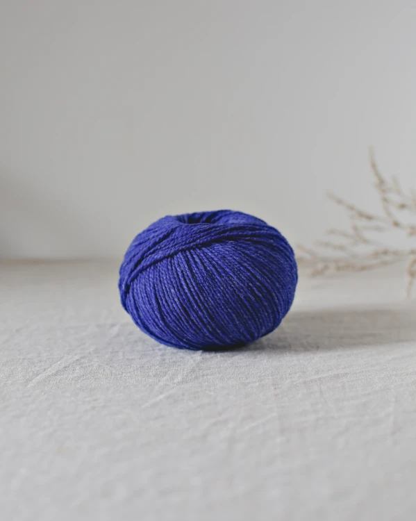 Ulysse clématite 4 sur 5.jpg